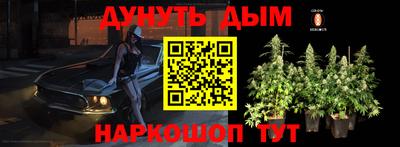 дмт Нальчик