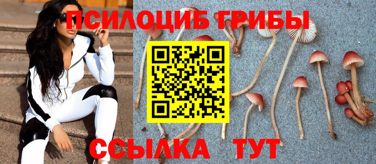Галлюциногенные грибы GOLDEN TEACHER Севастополь
